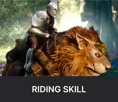 Riding Skill Leveling